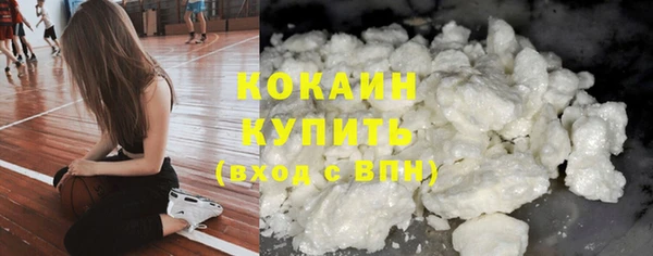 твердый Карпинск