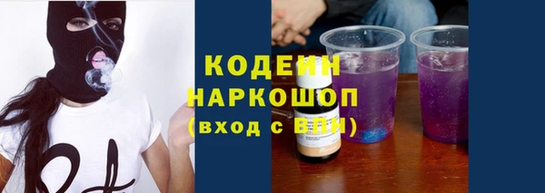 гашик Касимов