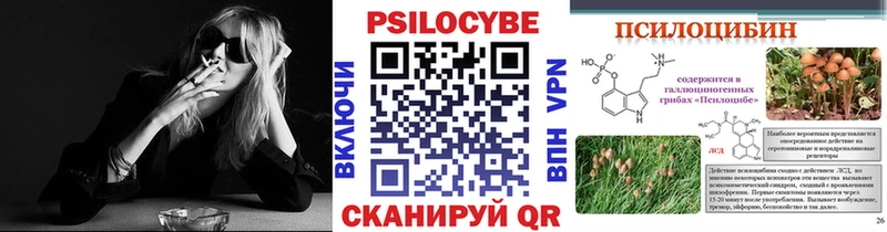 omg зеркало  Северск  Псилоцибиновые грибы Psilocybine cubensis 